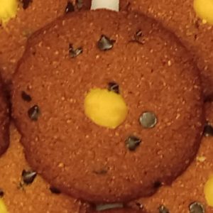 Gluten-free, Grain-free, Lo-Carb Choco Chip Chookies™ (bag of 4)